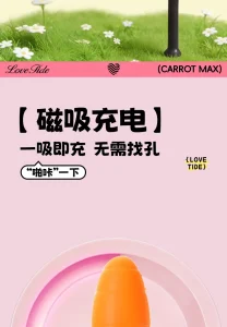 Cute Carrot Vibrating Powerful Mini Bullet 9 Modes for Women Clitoris Stimulator Adult Sex Toy Vibrator
