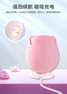 Rose Shape Sucking Vibrator USB Rechargeable 10 Modes Soft Silicone IPX6 Waterproof Portable Pink